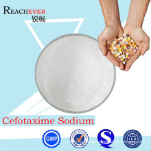 99% Pure Pharmaceutical Raw Materials Cefotaxime Sodium for Injection